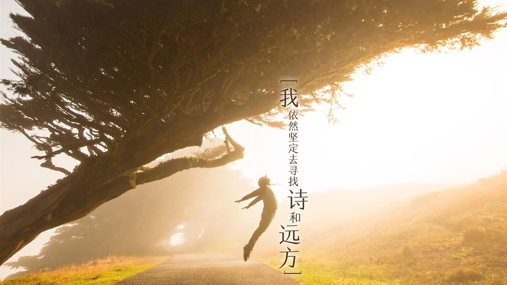 “难以忘怀：联盟最震撼的历史瞬间”，英雄联盟历史故事
