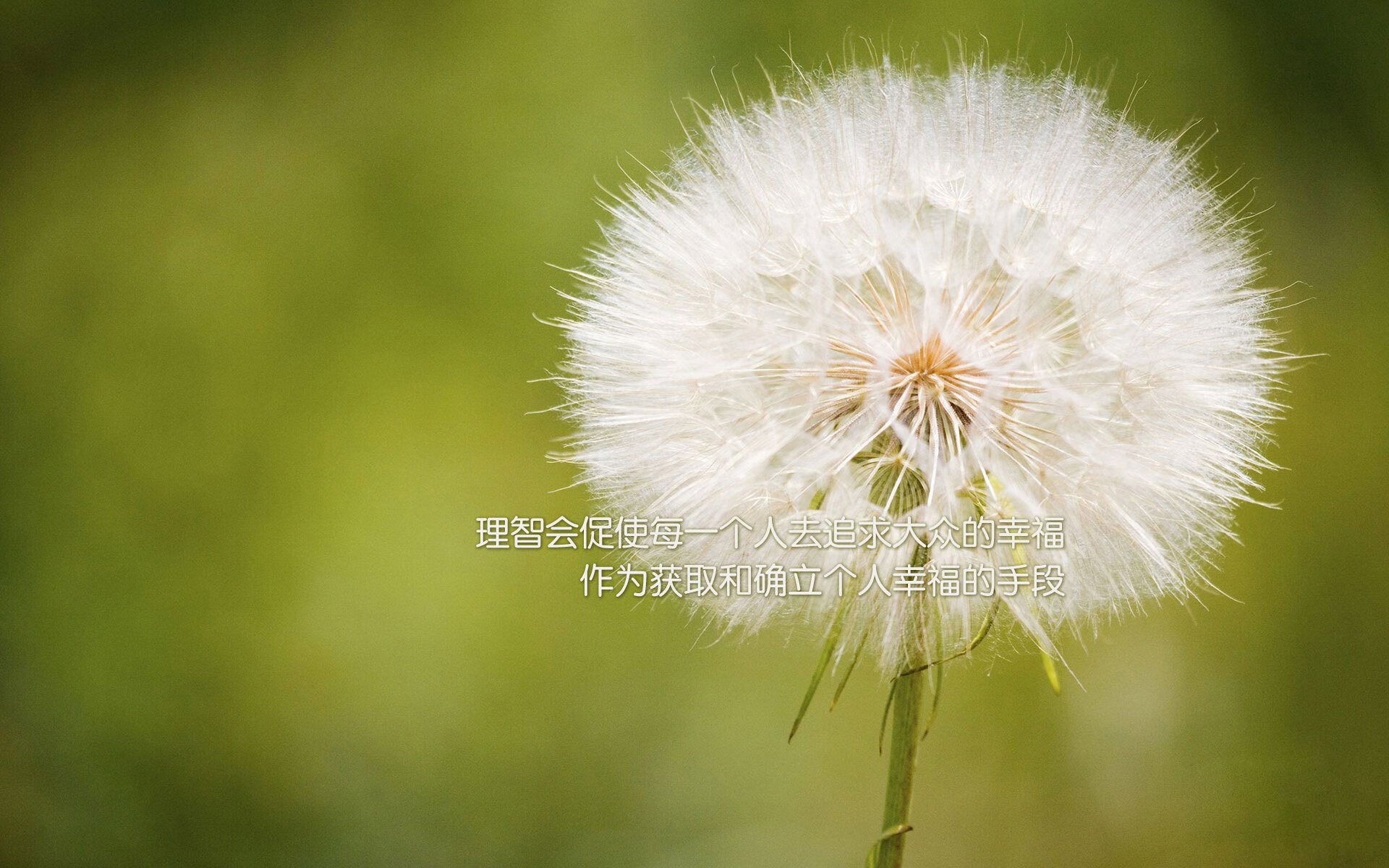 意甲激烈对抗：尤文图斯战平AC米兰，榜首天平再摇晃，尤文图斯踢意乙