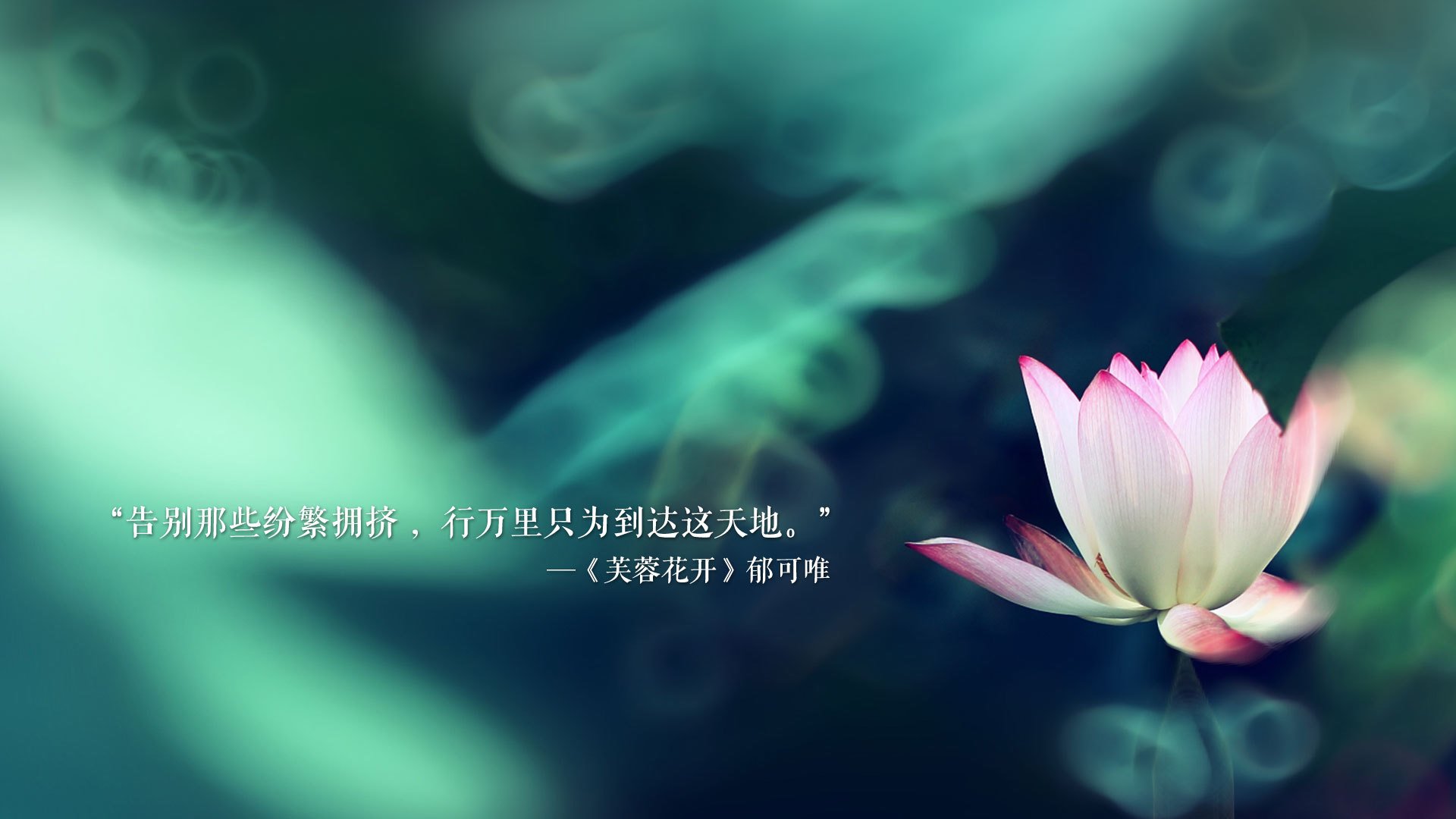 维尼修斯在西甲连续7场高光瞬间，引领皇马攻击线