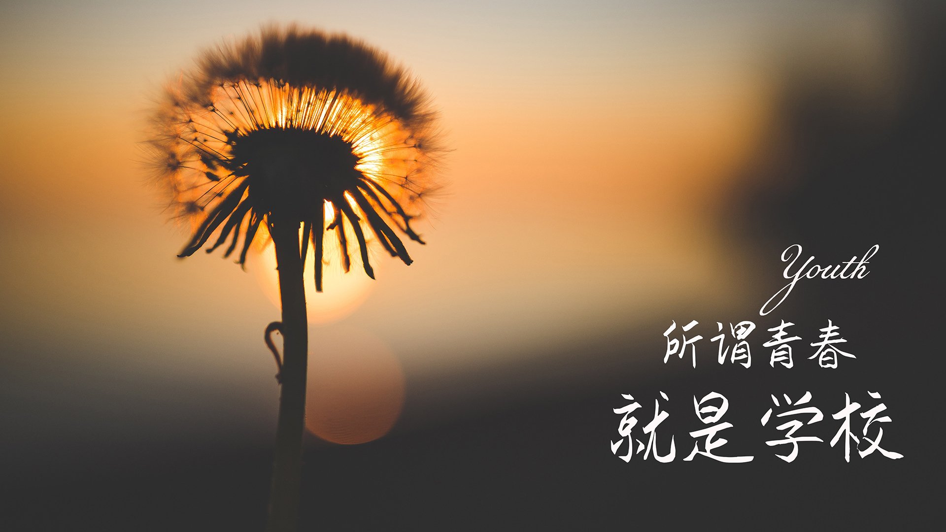 中国女篮比赛强度提升 球员体能状态良好，中国女篮要求