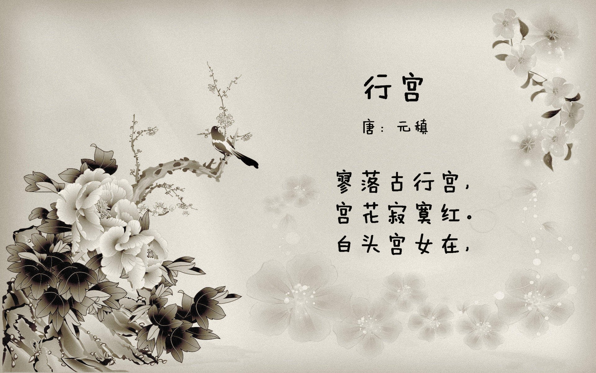 蒙彼利埃中后场联动提升整体强度，蒙彼利埃队