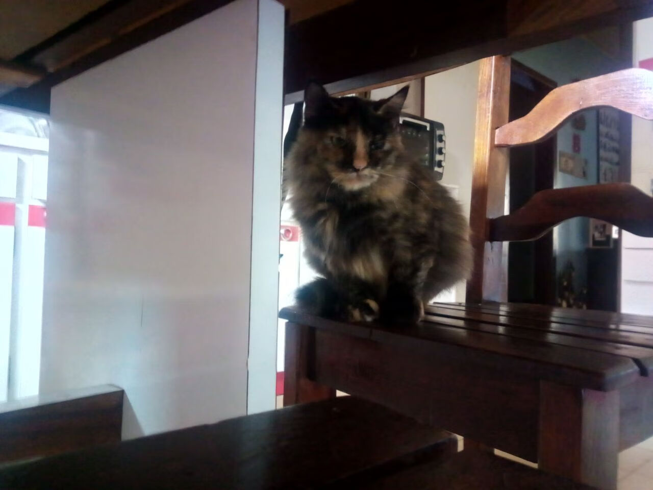 曼联俱乐部庆祝建队百年纪念日，曼联队成立于哪年