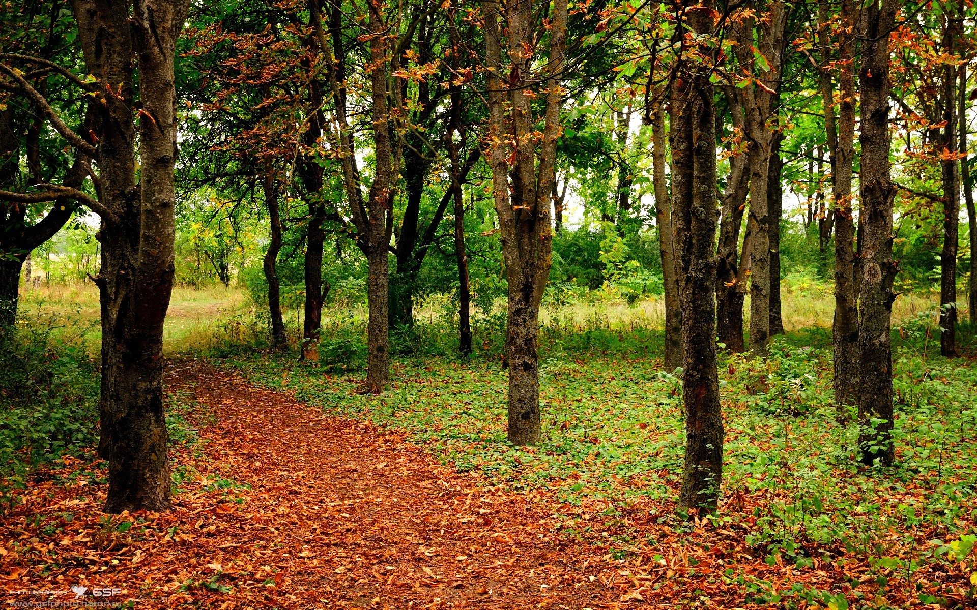 柯尔赞技术动作流畅稳健，科尔阿赞